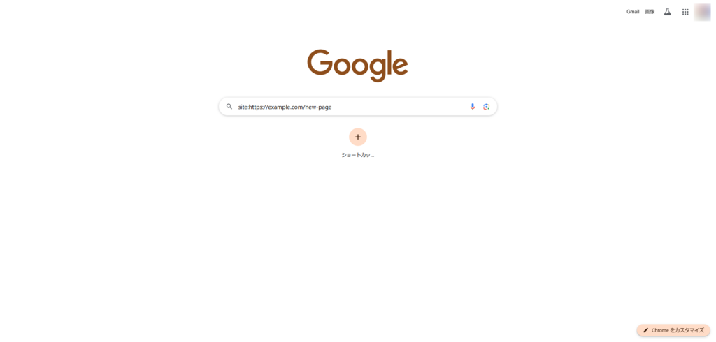 site:コマンド入力画面